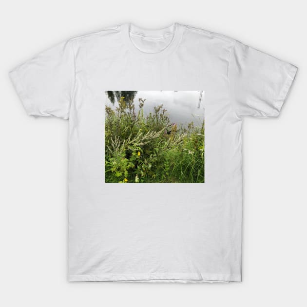 Grass, environment T-Shirt by Elena Akopian